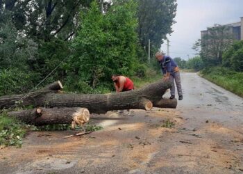 Десетки сигнали за наводнени мазета и приземни етажи са подадени след поройния дъжд в Девня (СНИМКИ)