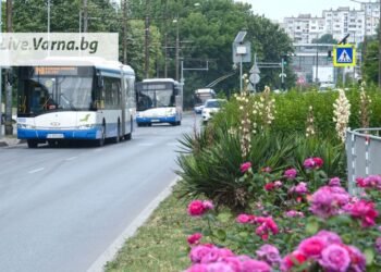 Възстановено обслужването на автобусна спирка "ЖП гара-3" на пл. "Славейков" във Варна