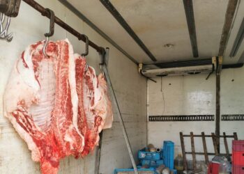 Полицията във Варна разби нелегален цех за преработка на месо край Аксаково (СНИМКИ)