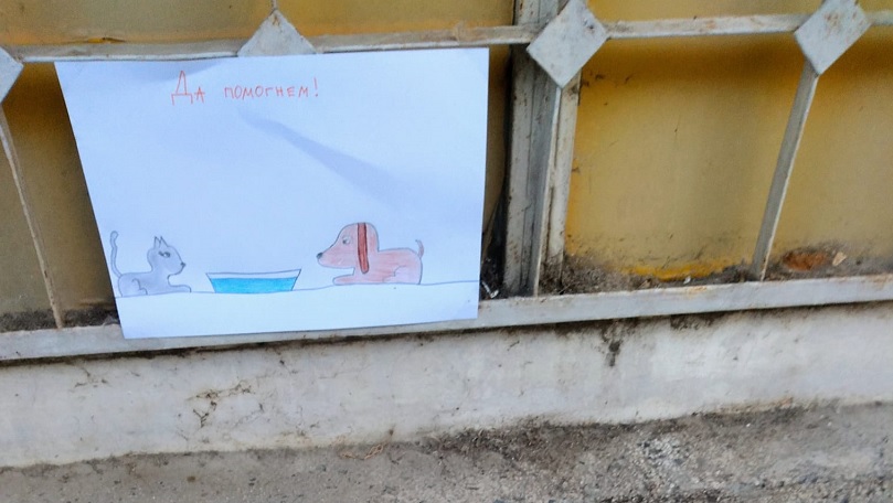 8-годишната Ани от Варна призовава: Нека помогнем с водичка и храна на уличните животни!