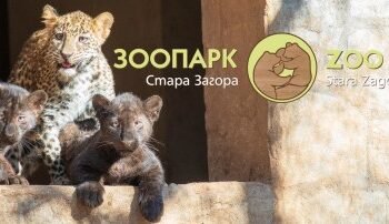 Леопард избяга от зоопарка в Стара Загора