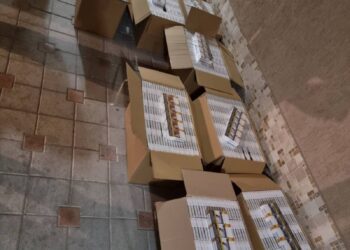 Икономическа полиция във Варна конфискува цигари за над 105 000 лв.