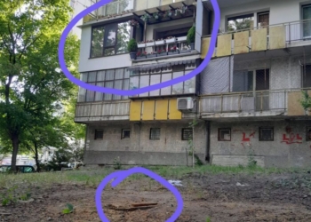 Читател: Отрязаха здраво плодно дърво зад блока по настояване на съсед, ще засадим ново!
