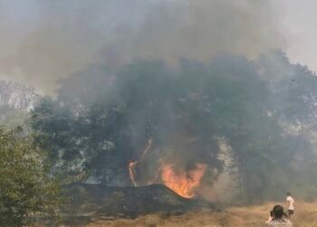 Голям пожар гори в кв. "Акация" в община Белослав (ВИДЕО)