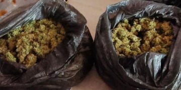 Задържаха петима за притежание на наркотици, бойни патрони и близо 20 000 лева