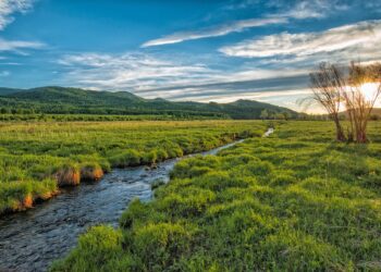 Последните 12 месеца се оказаха рекордно топли за света