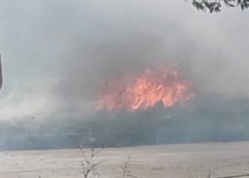 Пожар вилня в сухи треви във “Владиславово”
