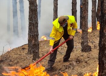  Отвориха телефонна линия за сигнали за пожари