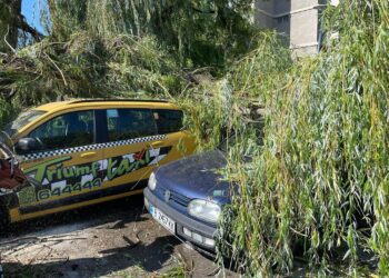 70 паднали дървета, пострадали автомобили и части в Девня са без ток заради бурята