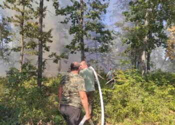 Военнослужещи участват в спирането на пожара на гръцко-българската граница