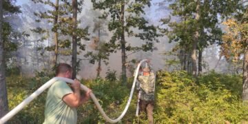 Близо 500 дка широколистна гора гори във Варненско