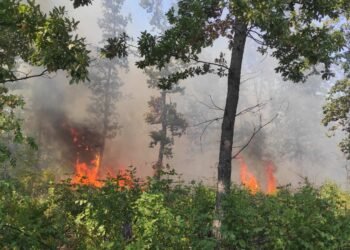 Сухи треви горят край село Тополи