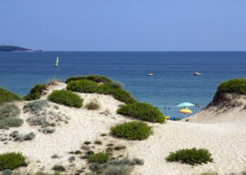 Одобрени са Насоки за правомощията на контролните органи за опазване на дюните и националните паркове