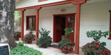 Дом на Онкоболните – Варна, създаден от Яна Георгиева, отбелязва 20 години