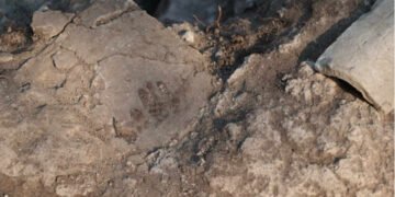 Отпечатък от детска ръка откриха археолозите в базиликата край Звездица