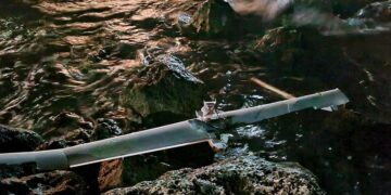 Специализиран екип от ВМС унищожи открития край Тюленово боеприпас