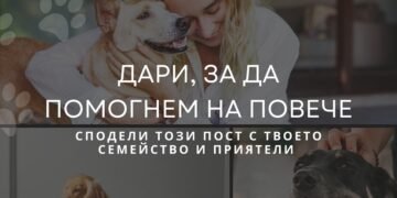 Lucky Hunt стартира кампания за събиране на средства в помощ на бездомните животни