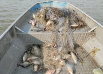 ИАРА дари над 500 кг риба на Зоопарк Бургас и Зоопарк Айтос