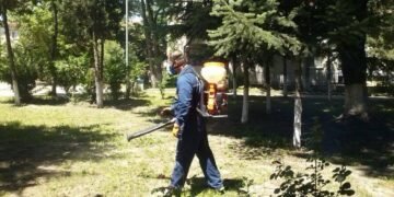 Започва есенно-зимната дератизация на каналните шахти и дерета във Варна