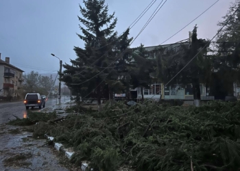 Частично бедствено положение е обявено в община Дългопол
