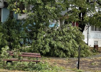 Три квартала в Девня останаха без ток заради силната буря