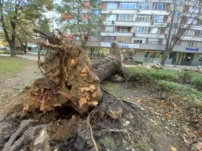 15 000 лв. еднократна помощ ще получи семейството на загиналата жена при бурята от ноември във Варна