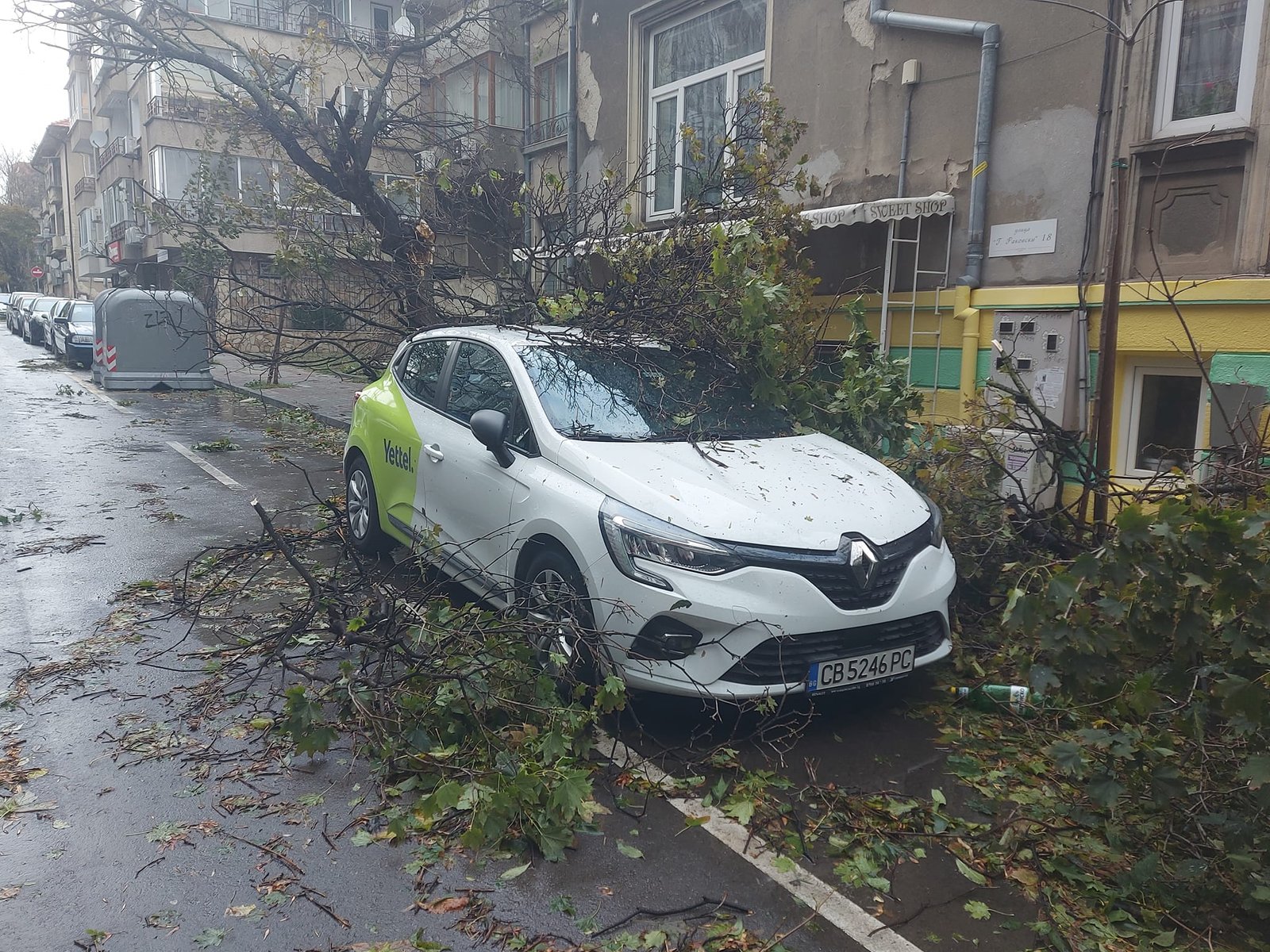 Стотици сигнали за паднали клони, билбордове, ламарини и пътни знаци са подадени във варненската полиция