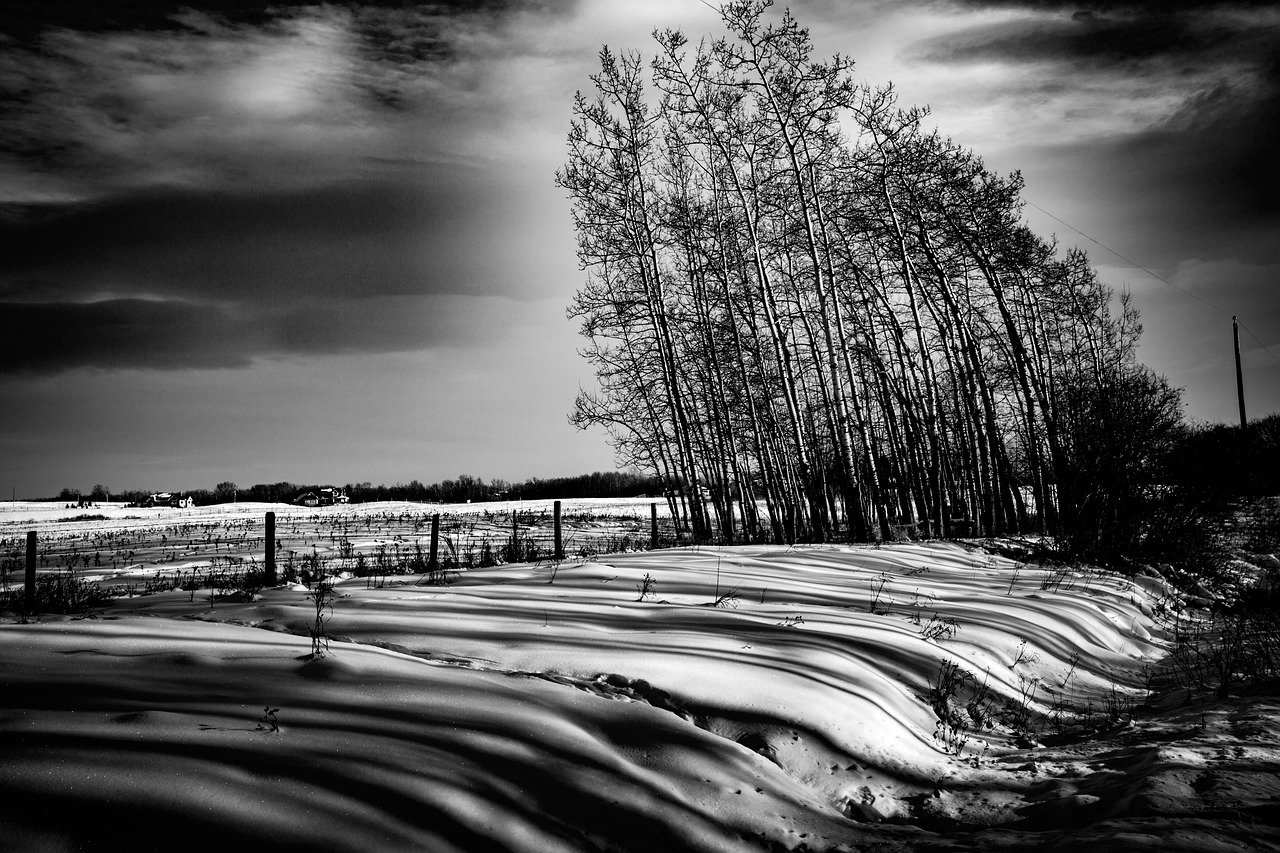 Ето какво време ни очаква във Варна и областта за 26 ноември!
