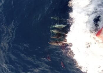 Прекрасни кадри заснеха от кораба "Св. Св. Кирил и Методий" край Канарските острови