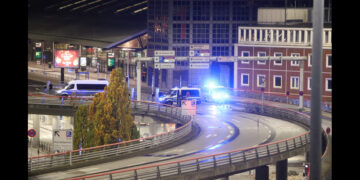 Драма на летището в Хамбург! Въоръжен влетя с кола и поиска билети до Турция за него и дъщеря му