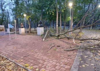 Частично бедствено положение е обявено в община Девня