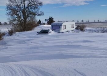 Продължава разчистването на преспите и падналите дървета по път II-29 Добрич – Варна и път II-27 Тръница – Бдинци