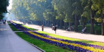 Обработват Морската градина срещу чемширов молец