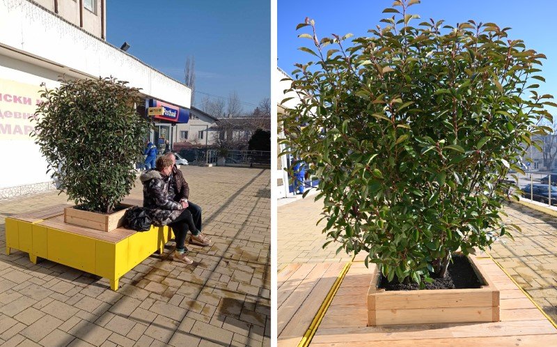 Кът за отдих с живо дръвче бе обособен пред сградата на Община Девня