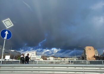 Бурен вятър вършее из Варна, огромен бор се стовари на частен паркинг във “Владиславово”