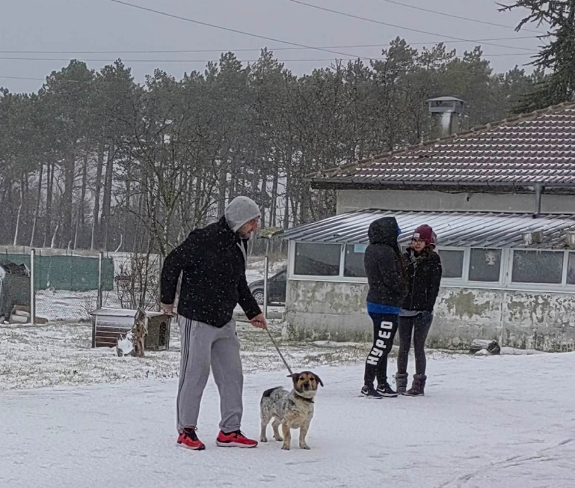 Десетки доброволци се организираха в мащабна акция за подобряване на условията в приюта за бездомни кучета в село Каменар (СНИМКИ)
