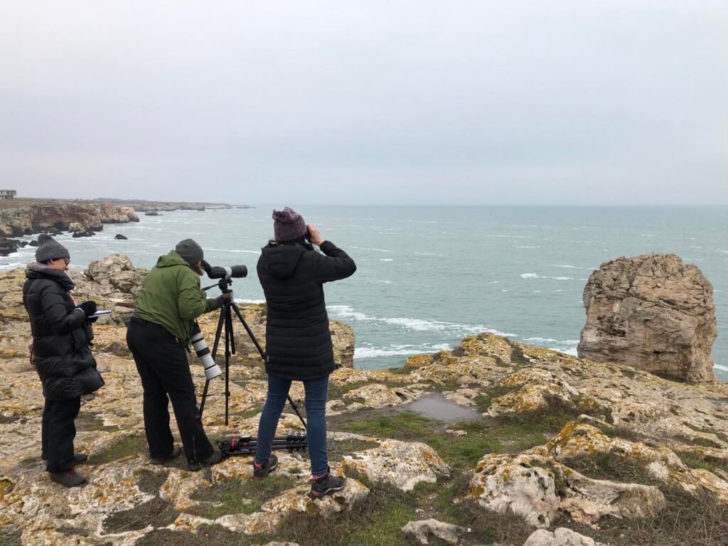 За 48-ма поредна година броим зимуващите водолюбивите птици в България