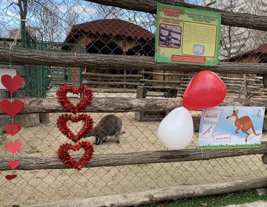 Варненският зоокът обяви победителите в конкурса "Най-сладка двойка на годината" (СНИМКИ)
