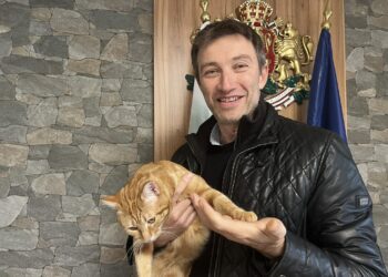 Невероятно, но факт: В Белослав безработните, бездомниците и уличните котки се броят на пръсти! (ВИДЕО)