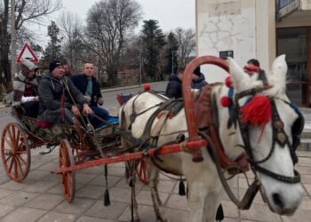 С ритуал по зарязване на лозята община Суворово отбеляза Трифон Зарезан (СНИМКИ)