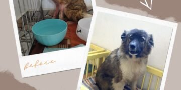 Помните ли Вяра? Вижте нейната невероятна трансформация!