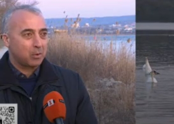 Десет пъти над нормата е замърсено варненското езеро