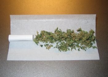 Млад мъж от Варна е привлечен към наказателна отговорност от Окръжната прокуратура за държане и разпространение на марихуана 