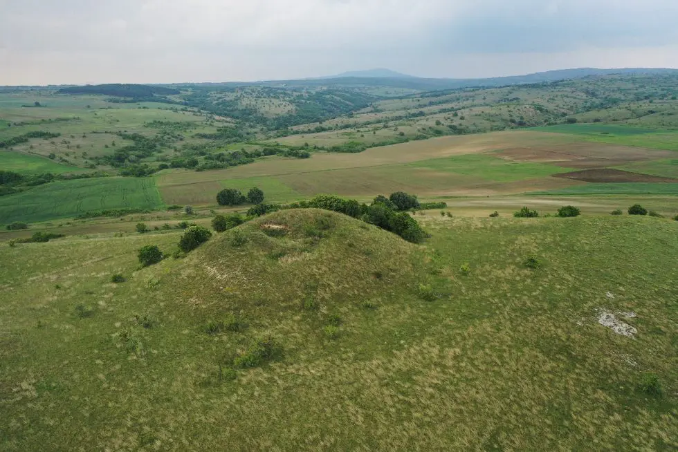 Природолюбители дариха над 100 000 лева за закупуване на земя под закрила за три застрашени вида