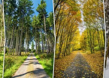 Променят ли се сезоните по света и в България?