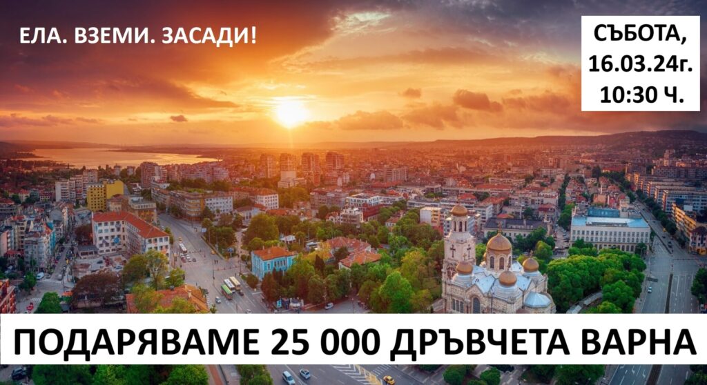 Раздават 25 000 дръвчета от Варна и региона