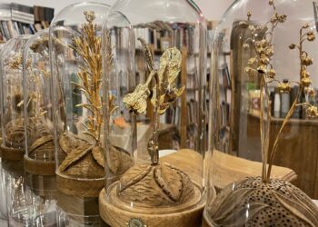 История за любовта и съкровищата в село Неофит Рилски (СНИМКИ)