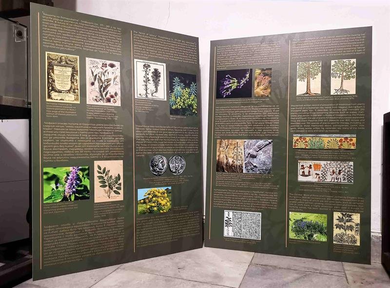 С изложба Музеят по история на медицината във Варна показва хилядолетния път на билколечението