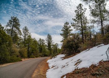 Изминалата зима беше най-топлата за последните 136 г. в България и втората най-топла в Европа