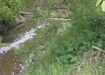 РИОСВ извърши спешна проверка в Разград заради непоносима смрад (ВИДЕО)